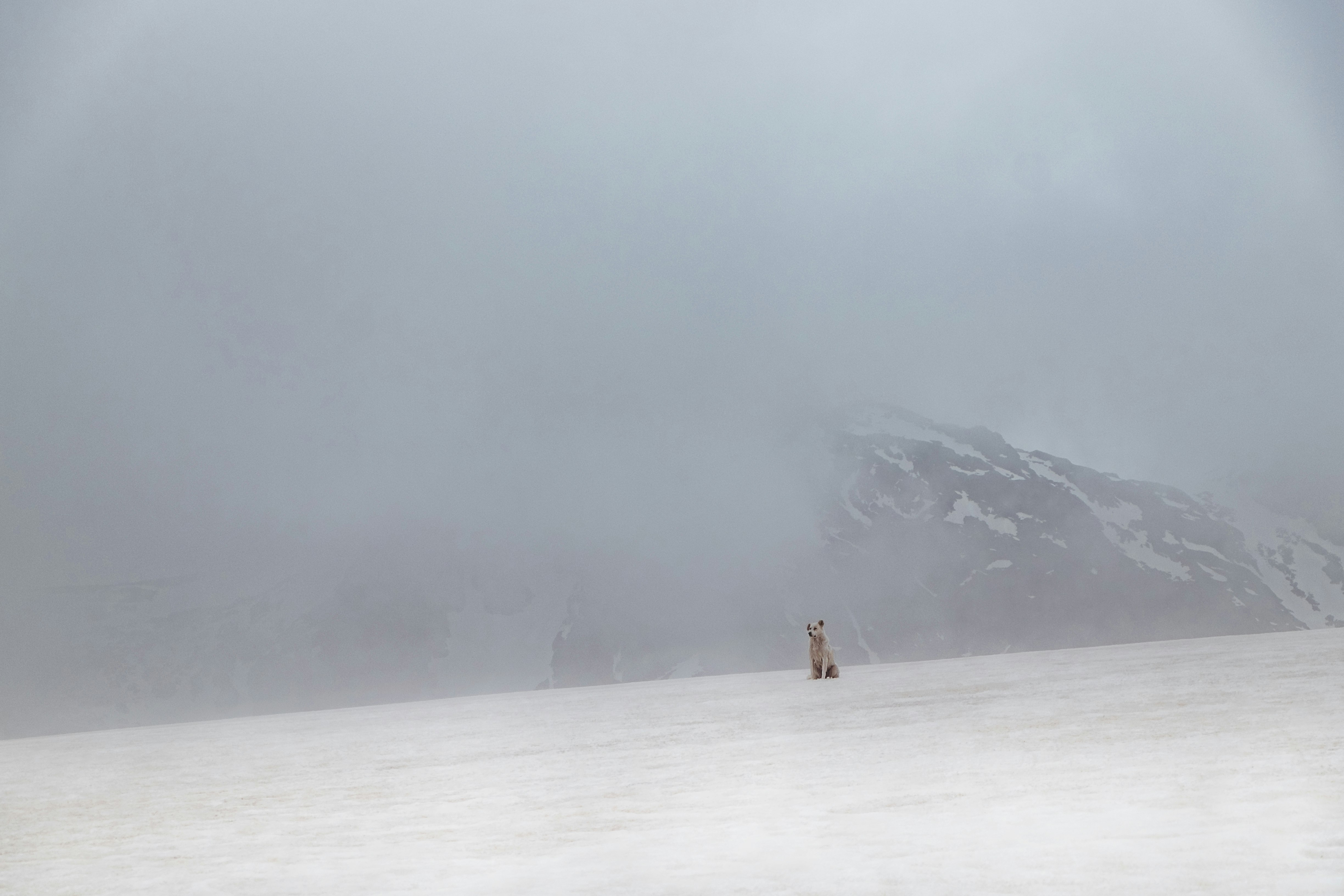 person walking on snow covered field during daytime